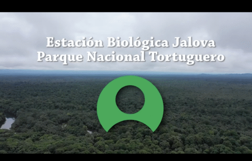 Captura de pantalla 2025-11-26 a la(s) 5.47.56 p. m.